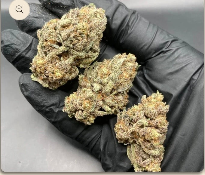 Gas Gaz CBD